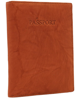 Visconti Soft Leather Passport Cover - Polo 2201